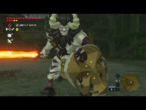 【ゼルダの伝説 BotW】闘技場跡地 白ライネル戦