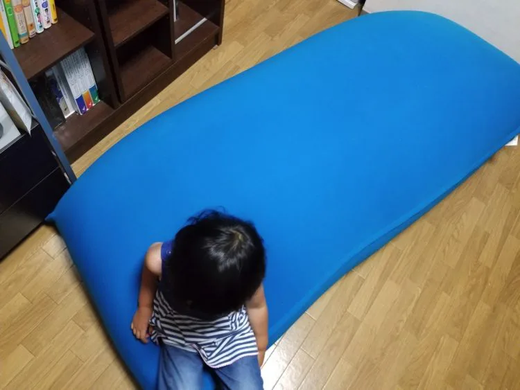 ソファ新調する代わりにヨギボー買ったらソファ要らなくなった Time To Live Forever